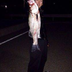 五目ミノーで表層を探ってまさかのヒラスズキ！