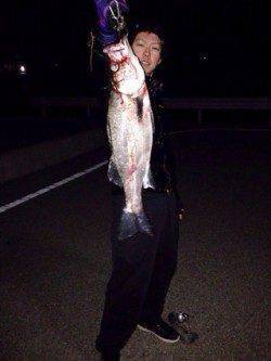 五目ミノーで表層を探ってまさかのヒラスズキ！