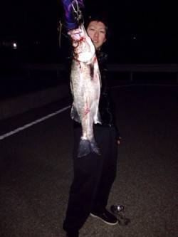 五目ミノーで表層を探ってまさかのヒラスズキ…