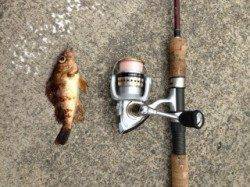 香住で父との久々のメバリング釣行