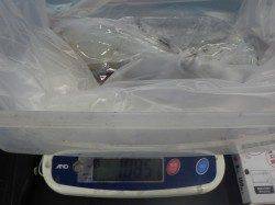 元島にてヤエン釣り〜アオリイカ1085g&モンゴウイカ1200g