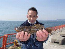 平磯海づり公園で良型アイナメ、投げ釣りの釣果