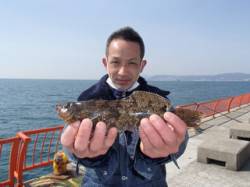 平磯海づり公園で良型アイナメ、投げ釣りの釣…