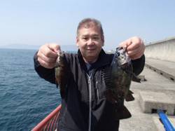 平磯海づり公園でのメバル釣果