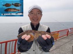 平磯海づり公園　投げ釣りでアイナメとカレイ…