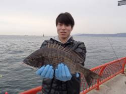 平磯海づり公園で落とし込み　チヌ42cmの…