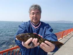 胴突で記録賞のアイナメ37cm！！ 平磯海…