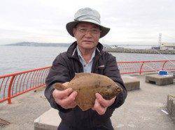 平磯海づり公園　投げでカレイをキャッチ