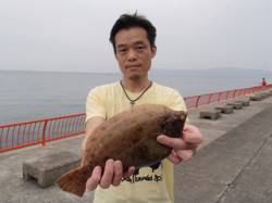 カレイ32cmがあがりました♪　平磯海づり…