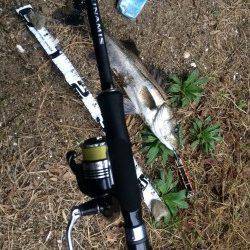 高砂埋立地周辺シーバスデイゲームアツイ！！