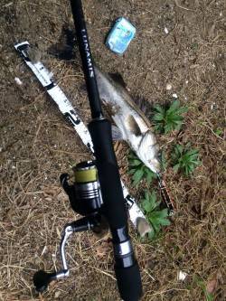 高砂埋立地周辺シーバスデイゲームアツイ！！…