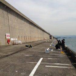 和歌山北港魚つり公園、胴突きでカワハギ