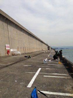 和歌山北港魚つり公園、胴突きでカワハギ