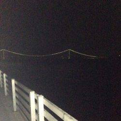 新浜漁港でメバル、フォール中に 食ってくれました