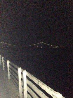 新浜漁港でメバル、フォール中に 食ってくれました