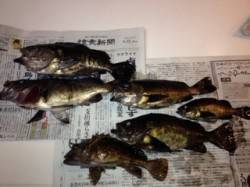 田結漁港にてメバリング、風も弱く波も無くプ…