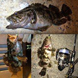 スーパーフィネススタイルのメバリングでタケノコメバル連発