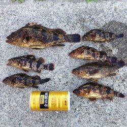 すっかり春の芦屋浜〜脈釣りでタケノコメバル