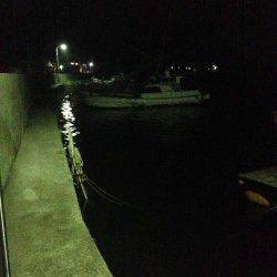 牛ヶ首周辺ライトゲームでガシラ