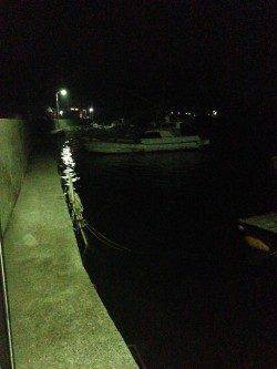 牛ヶ首周辺ライトゲームでガシラ