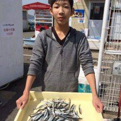 今夜はイワシでパラダイス！ マリーナ釣り公園サビキ好調