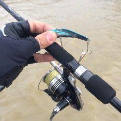 高砂埋立地周辺シーバスデイゲームアツイ！！