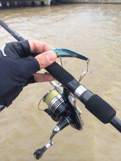 高砂埋立地周辺シーバスデイゲームアツイ！！