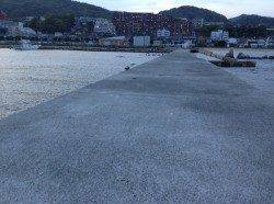 須磨にて胴突探り釣りでアイナメGET