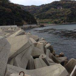 小引漁港　ライトゲームでガシラが好調！