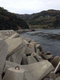 小引漁港　ライトゲームでガシラが好調！