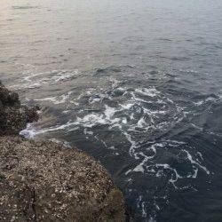 すさみの磯でエギング　底からのさそいでGET♪