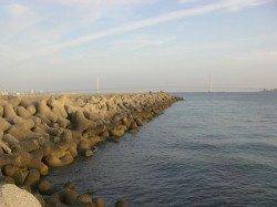 林崎漁港で投げ釣り　朝からカレイ狙いでしたが…