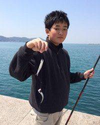 マリーナシティ釣り公園でイワシ50尾&ウミタナゴタナゴ16cm