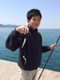 マリーナシティ釣り公園でイワシ50尾&ウミタナゴタナゴ16cm