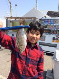 マリーナシティ釣り公園でイワシ50尾&am…