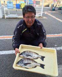 マリーナシティ海釣り公園で良型チヌ2枚キャッチ！