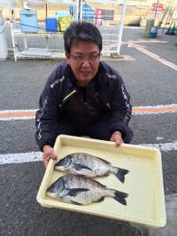 マリーナシティ海釣り公園で良型チヌ2枚キャ…