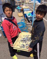 マリーナシティ海釣り公園サビキのイワシ100尾以上達成！