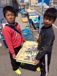 マリーナシティ海釣り公園サビキのイワシ10…