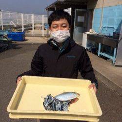 イワシ&コノシロ楽しく釣ってます！　マリーナシティ釣り公園