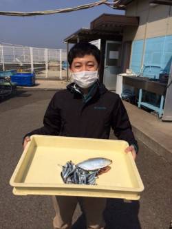 イワシ&コノシロ楽しく釣ってます！…