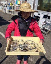 マリーナシティ海釣り公園でナイスサイズのチヌ3枚！