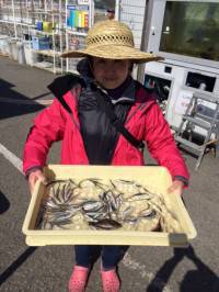 マリーナシティ海釣り公園でナイスサイズのチヌ3枚！