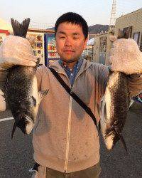 マリーナシティ海釣り公園でナイスサイズのチヌ3枚！