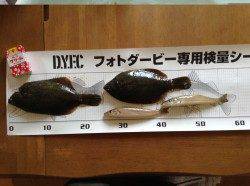 須磨の投げ釣りでキス・カレイ