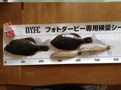 須磨の投げ釣りでキス・カレイ