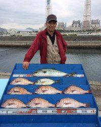 マダイはもちろんシマアジ・メジロも♪　マリーナシティ海洋釣り堀