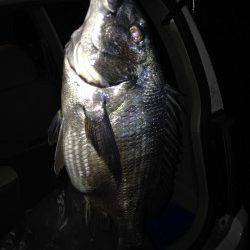 天橋立チニング〜ラインが細くやり取りに苦労しました