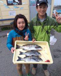 マリーナシティ海釣り公園　フカセでチヌ47・40・37cm