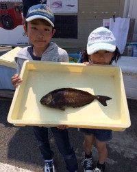 釣り公園イワシ大漁！ サビキでびっくりアイゴ41cmの釣果も♪